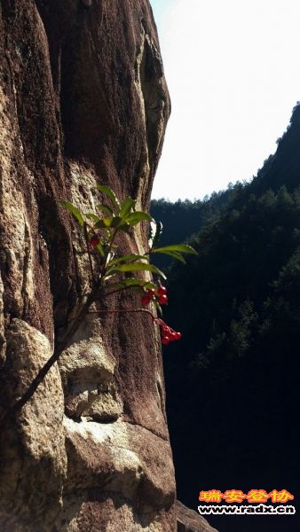 20131130_120913.jpg