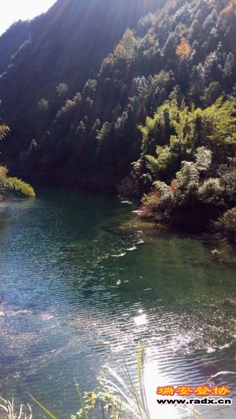 20131130_125705.jpg