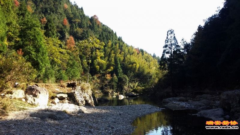 20131130_130020.jpg