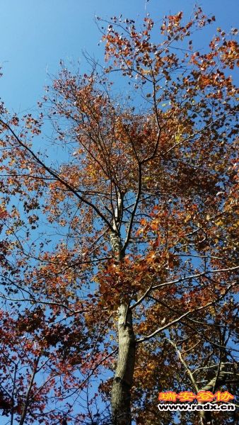 20131130_130756.jpg