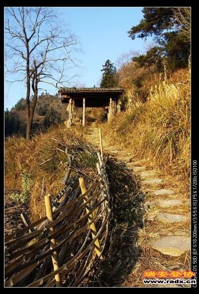 通往楠溪江源头的路