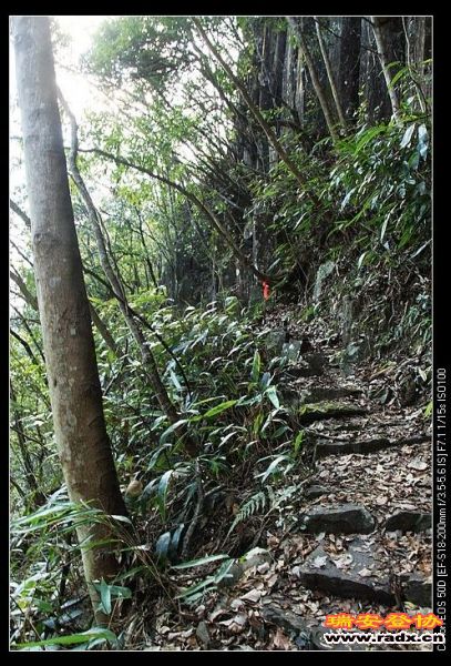 来时不觉得，回去的路又陡又悬。