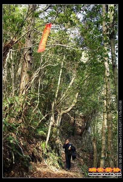 路标：温州路跑协会护鸟队。