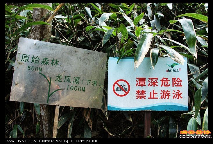 看了上瀑再去下瀑，此处交叉路口，注意路牌。听老麻说原始森林最值得一看，那就留到下次吧。，