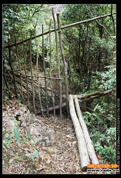 防止马牛骚扰驴友。