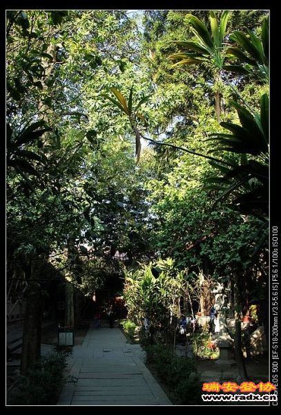 佛门，清净之地也。