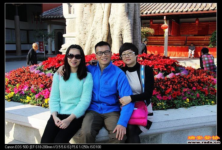 菩提树下合家欢。