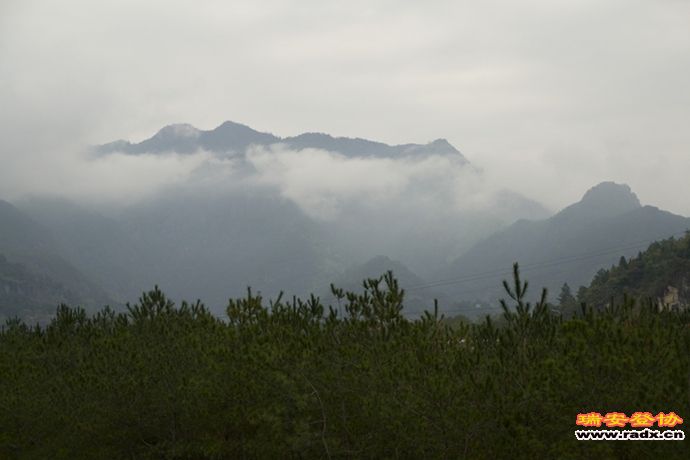 DSC_2335.jpg