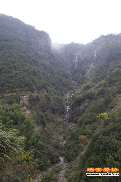 DSC_2514.jpg