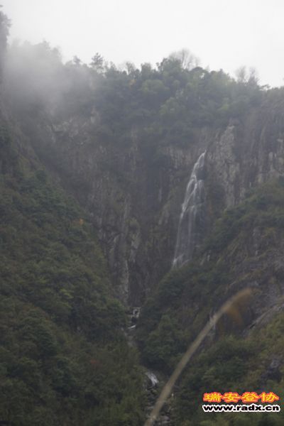 DSC_2515.jpg