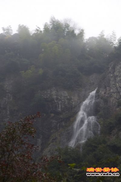 DSC_2517.jpg