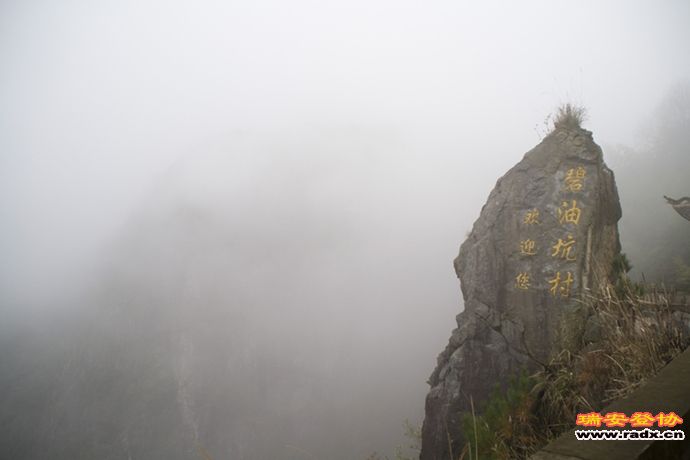 DSC_2522.jpg