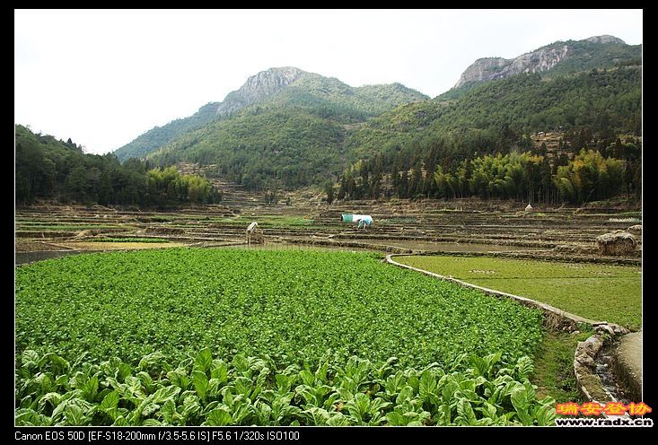 原汁原味的田园风光。。