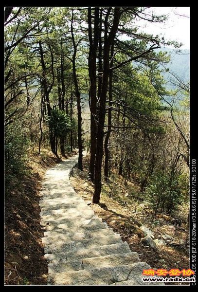 冲顶之路开始陡峭，顶约海拔1500米。