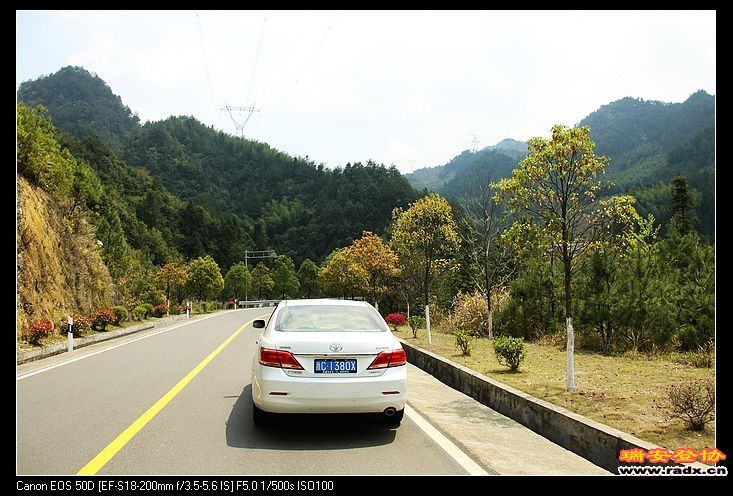 我的好伙伴也与我一起享受美景，美路。