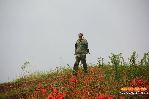 IMG_3605.JPG