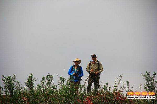 IMG_3607.JPG