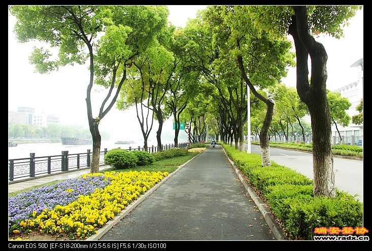 机动车，非机动车，人行道三分离，这城市很有品位。