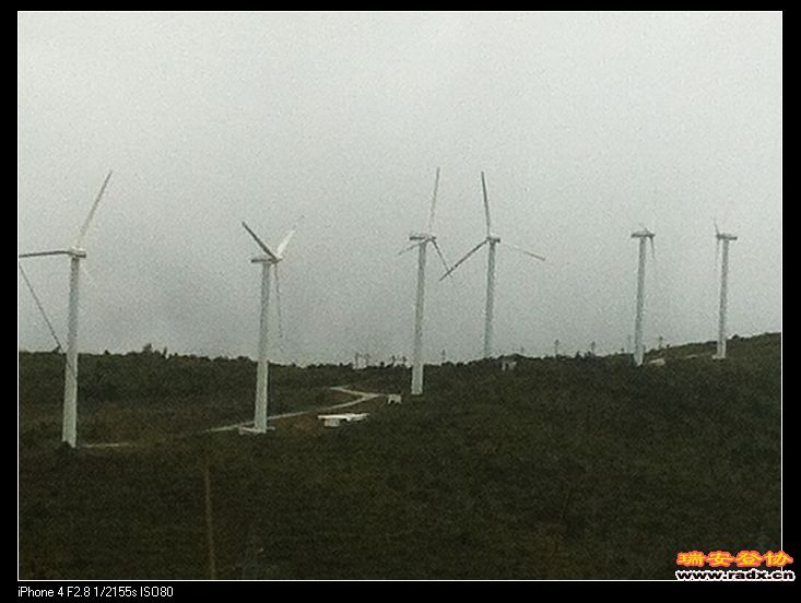 手机拍一拉近，画面很糙。