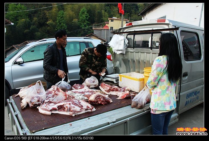 本地猪，9元一斤。