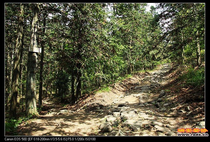 很容易走错路，白马山往左！