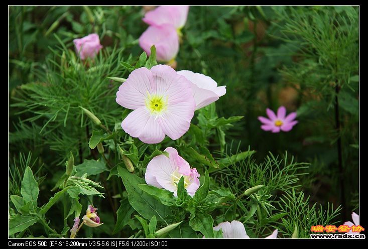 nEO_IMG_IMG_9933.jpg