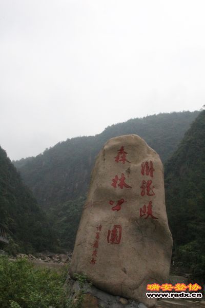 IMG_7517.JPG