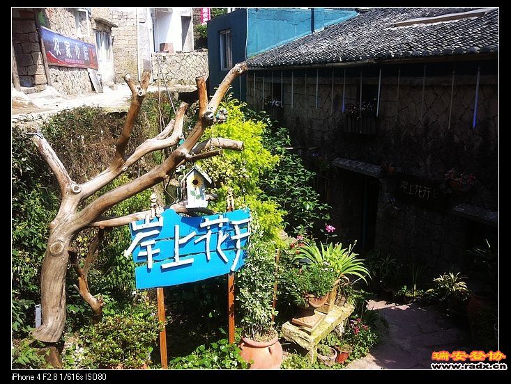 光岙村的岸上花开，很有名气，老板是户外人，网名行者13906634901，好心情13588919986