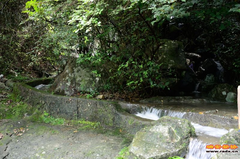 DSC_0282.jpg