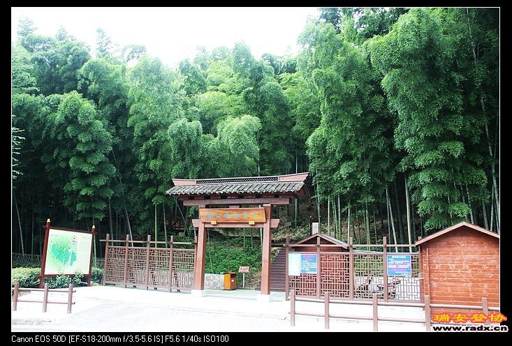 天童国家森林公园