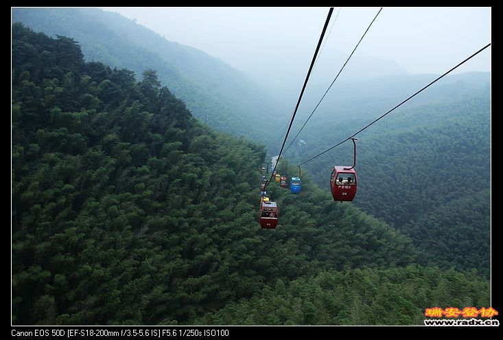 茫茫竹海，翠绿无边