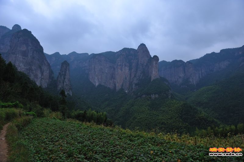 DSC_3460.jpg