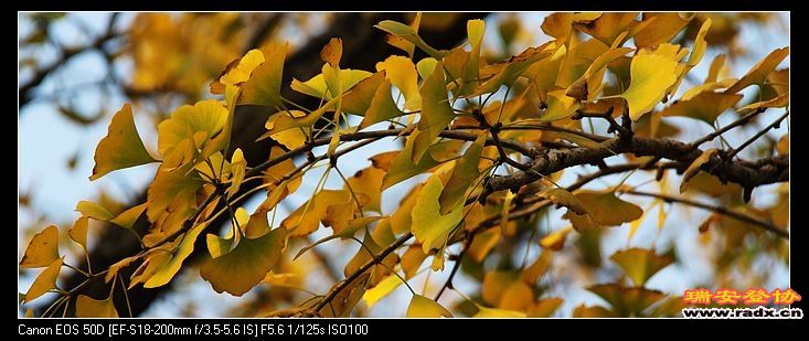 nEO_IMG_IMG_2898.jpg