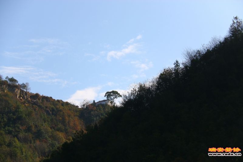 IMG_4065.JPG