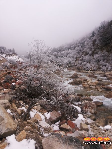 20141207_091046.jpg