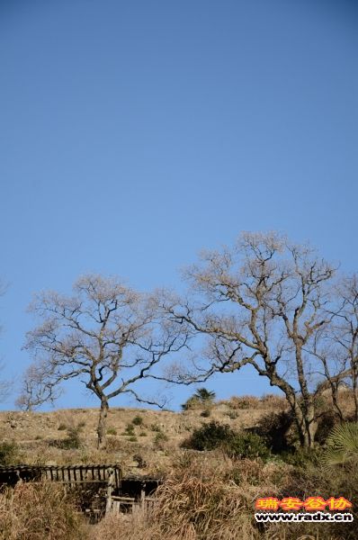 DSC_6186.jpg
