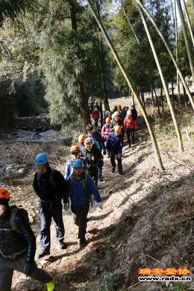 _MG_7405.JPG