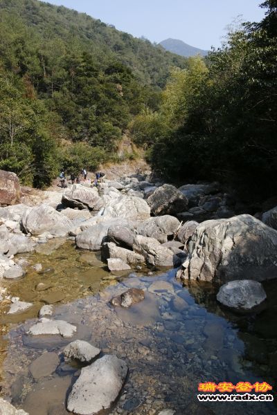 _MG_7546.JPG
