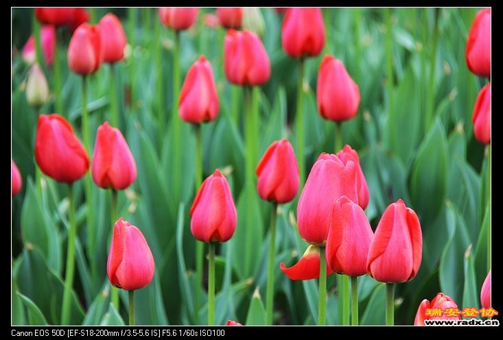 nEO_IMG_IMG_6043.jpg