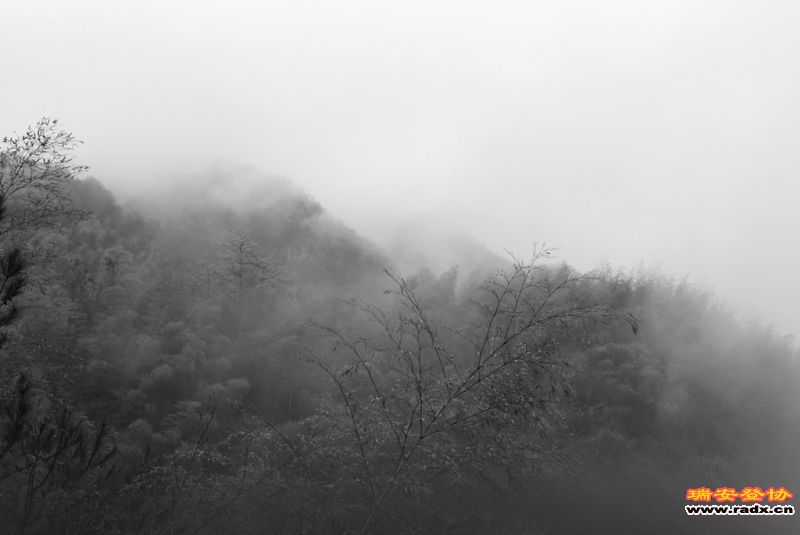 DSC_1886.jpg