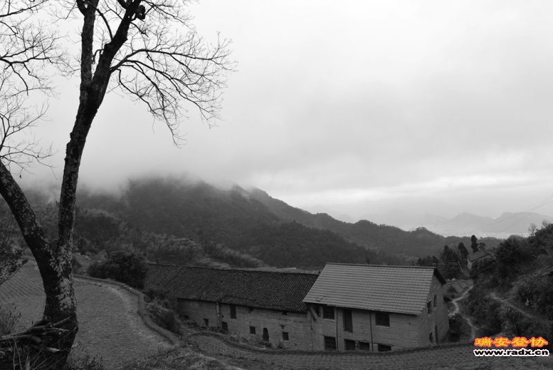 DSC_1960.jpg
