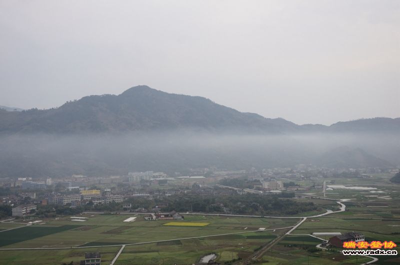 DSC_6921.jpg
