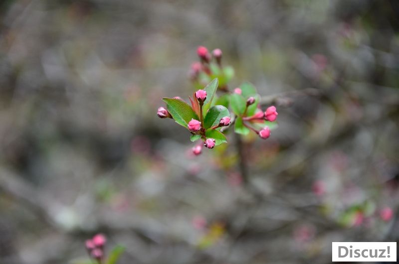 DSC_7048.jpg