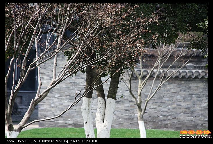 原中共中央总书记胡锦涛出生的地方，靠近稻河古街区。