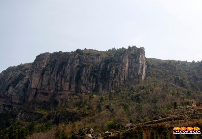 _MG_9596.JPG