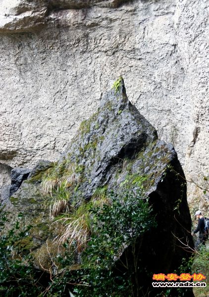 _MG_9633.JPG