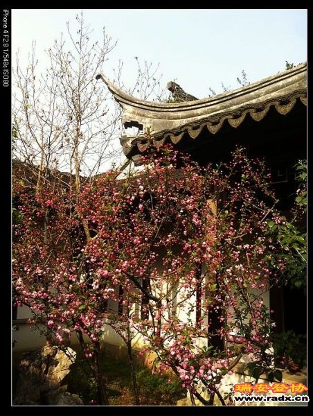 春色满园，百花齐放