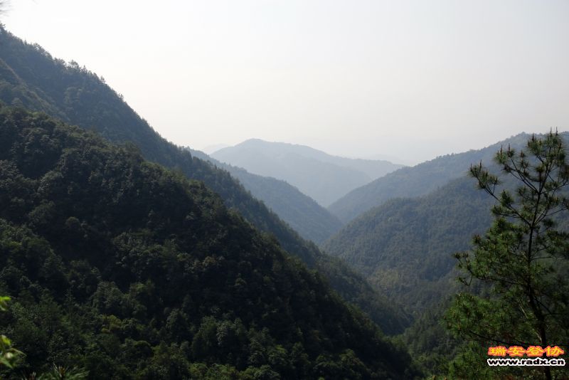 _MG_9940.JPG