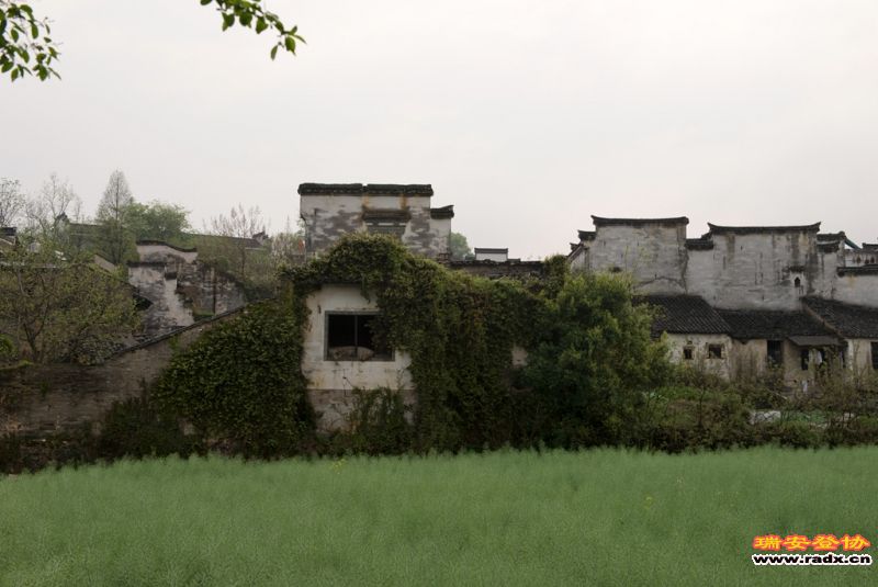 DSC_3083.jpg
