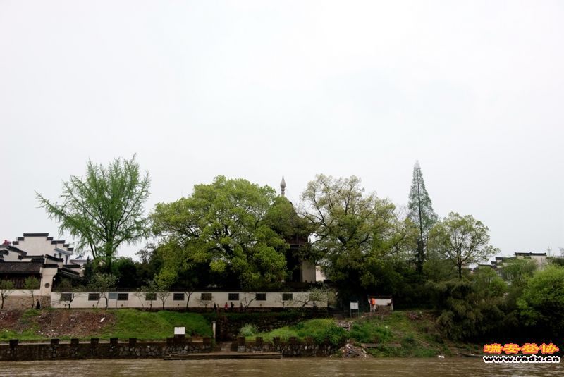 DSC_3138.jpg